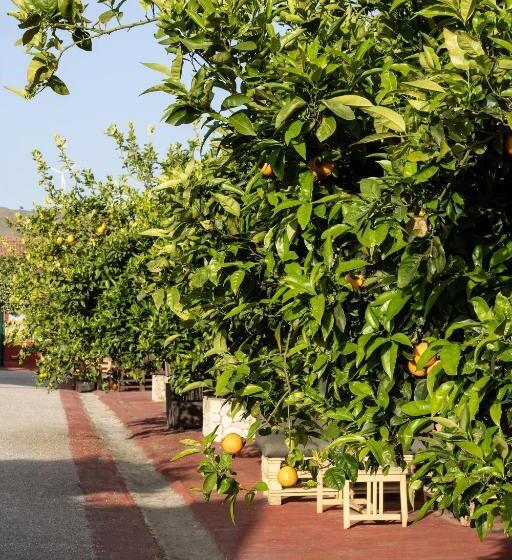 هتل Tenuta Dei Principi Di Spadafora