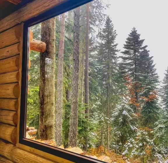 هتل Hut In Hatsvali