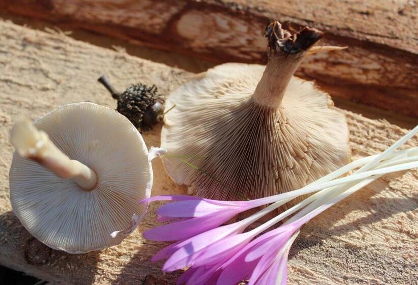 Hotel Pensiune Agroturistica   La Recea