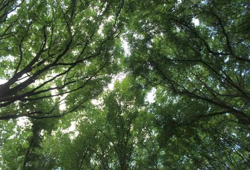 Hotel Pensiune Agroturistica   La Recea