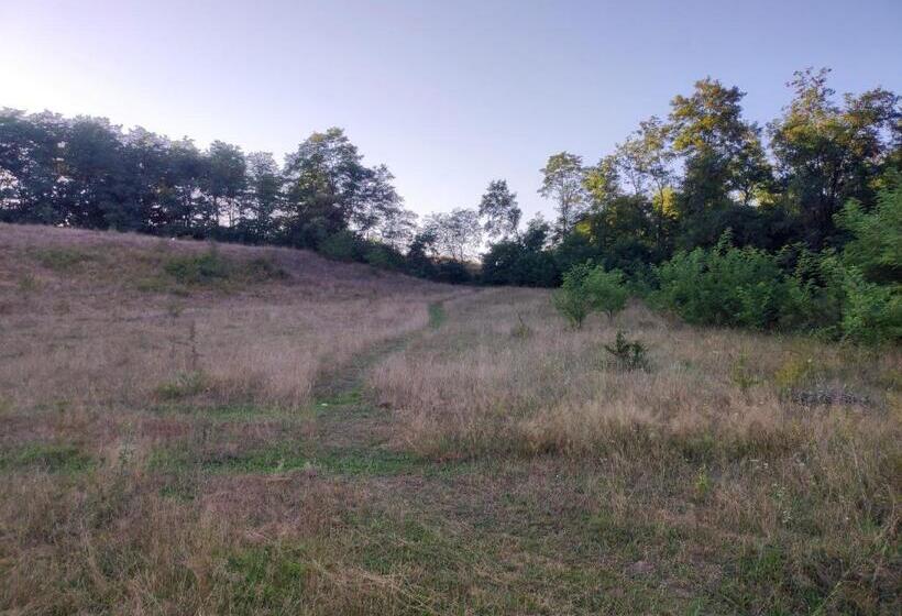 Hotel Pensiune Agroturistica   La Recea