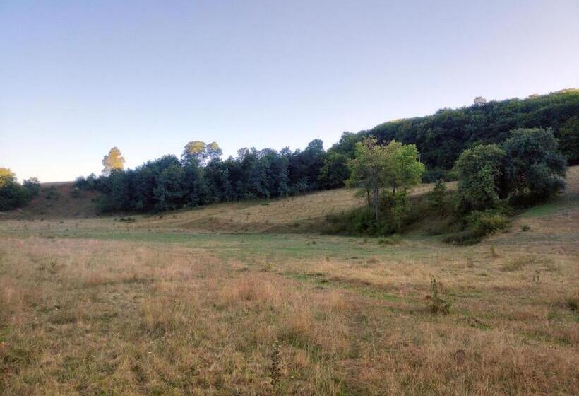 Hotel Pensiune Agroturistica   La Recea