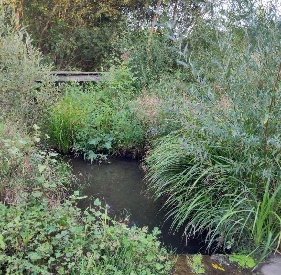 Hotel Pensiune Agroturistica   La Recea