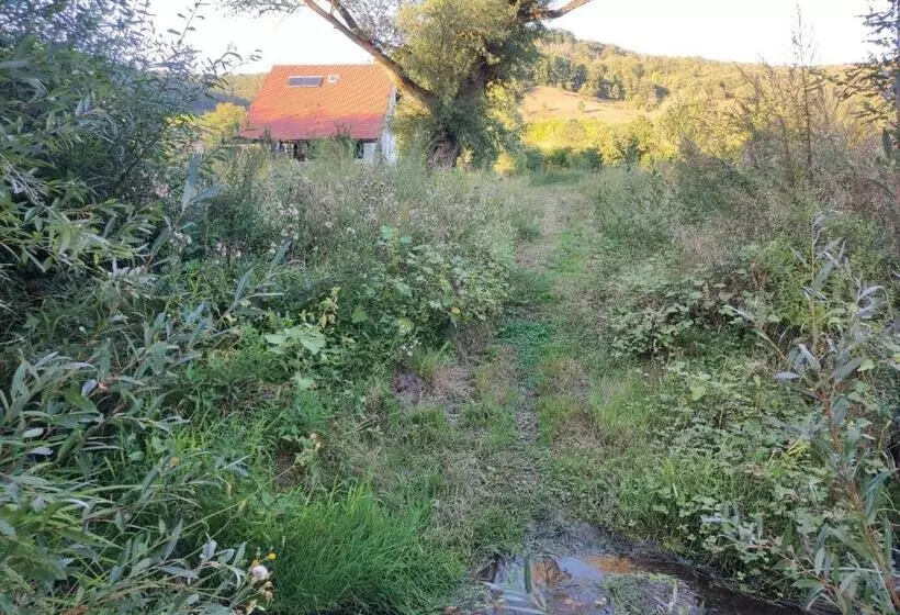 ホテル Pensiune Agroturistica   La Recea