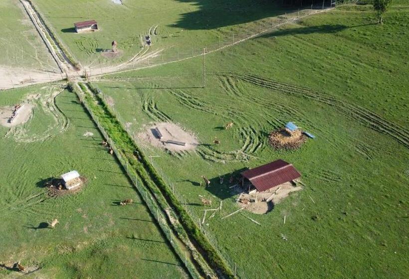 Hotel Pensiune Agroturistica   La Recea