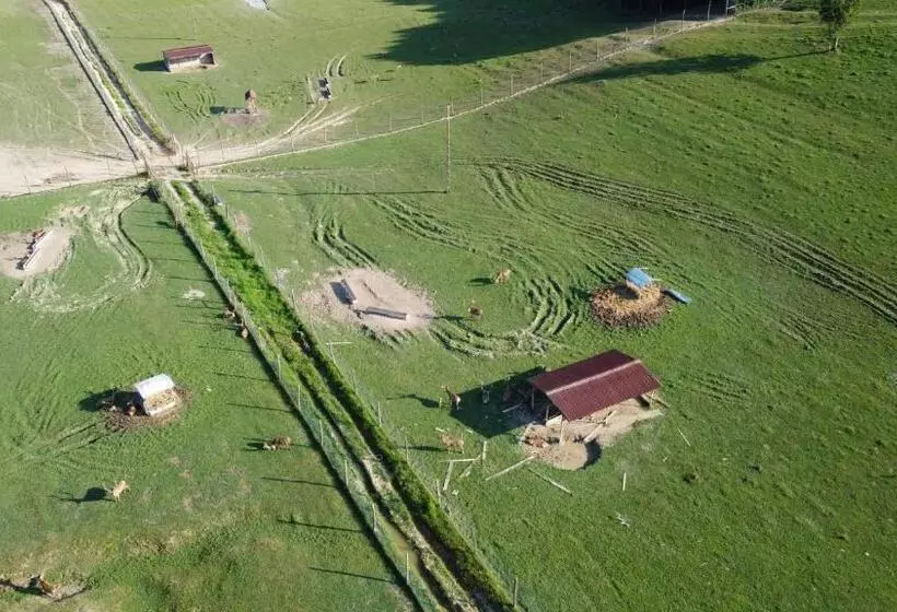 ホテル Pensiune Agroturistica   La Recea