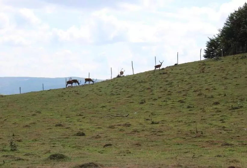 ホテル Pensiune Agroturistica   La Recea