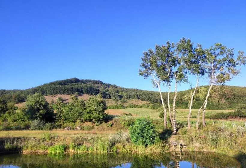 ホテル Pensiune Agroturistica   La Recea