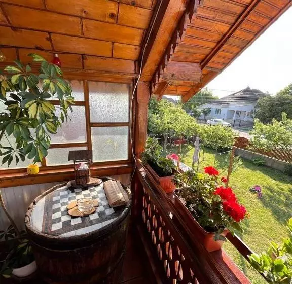 پانسیون Casa Ilinca