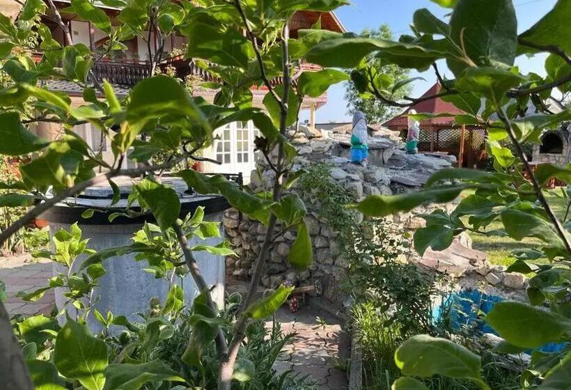 پانسیون Casa Ilinca