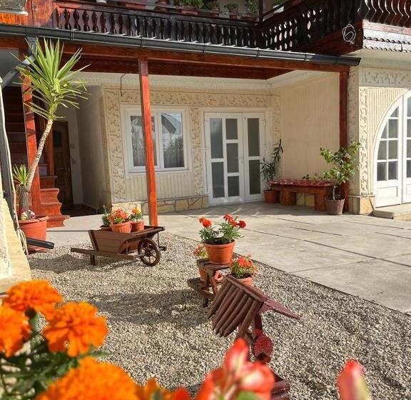 بنسيون Casa Ilinca