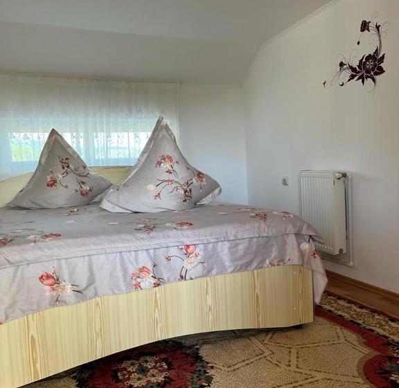 بنسيون Casa Ilinca