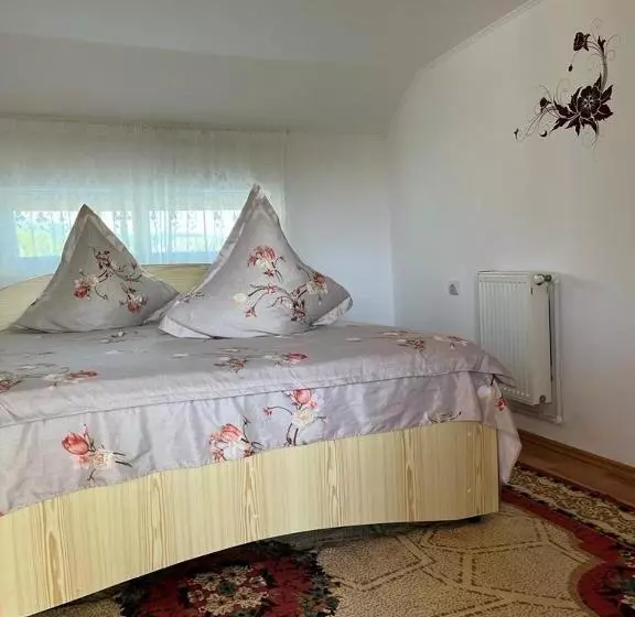 پانسیون Casa Ilinca