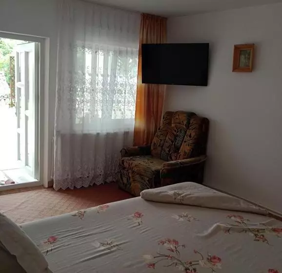 پانسیون Casa Ilinca