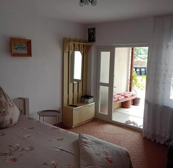 پانسیون Casa Ilinca