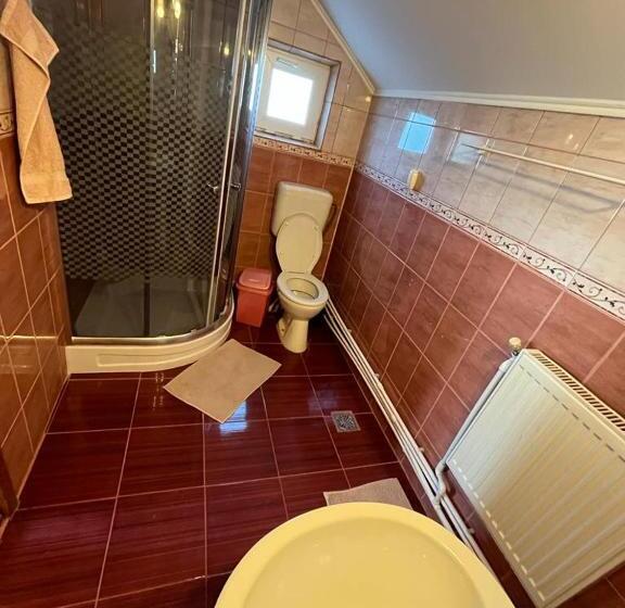 بنسيون Casa Ilinca