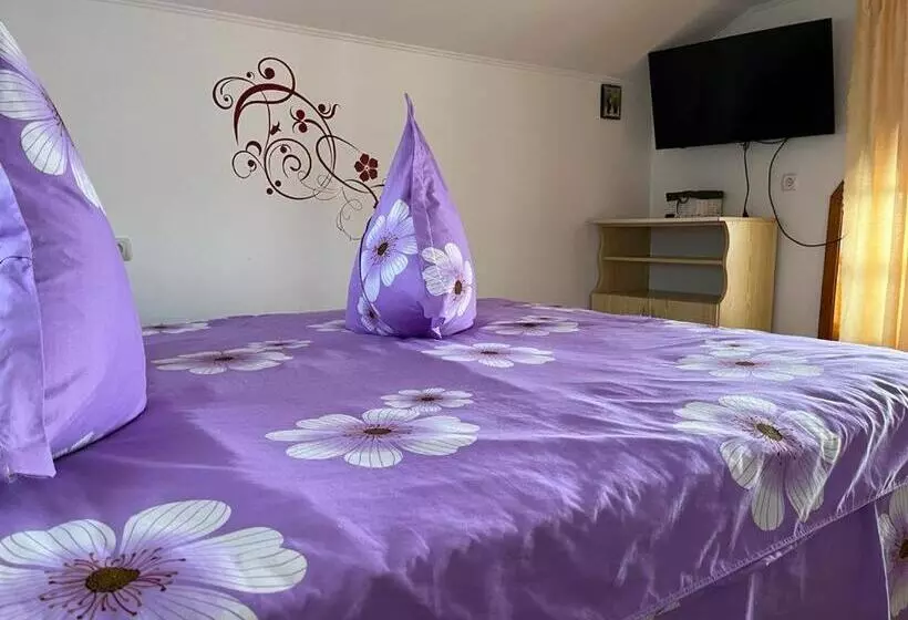 پانسیون Casa Ilinca