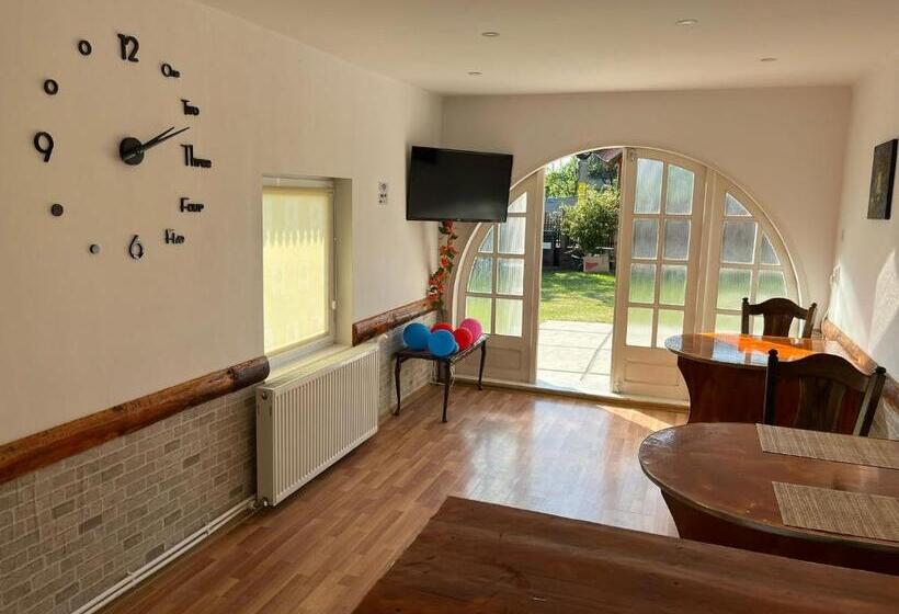 بنسيون Casa Ilinca