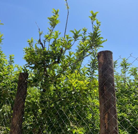 Hostel Gîte Chez Hachimi