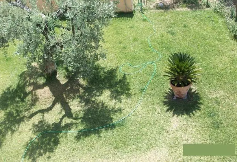 Aamiaismajoitus (B&B) Il Giardino Degli Ulivi