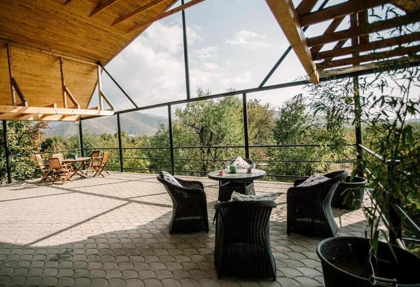 פנסיון Chateau Dzveli Gavazi