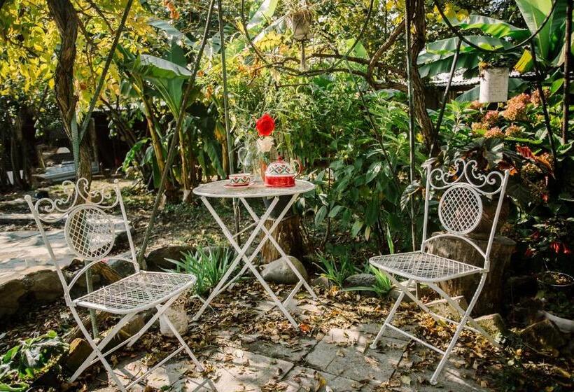 פנסיון Chateau Dzveli Gavazi