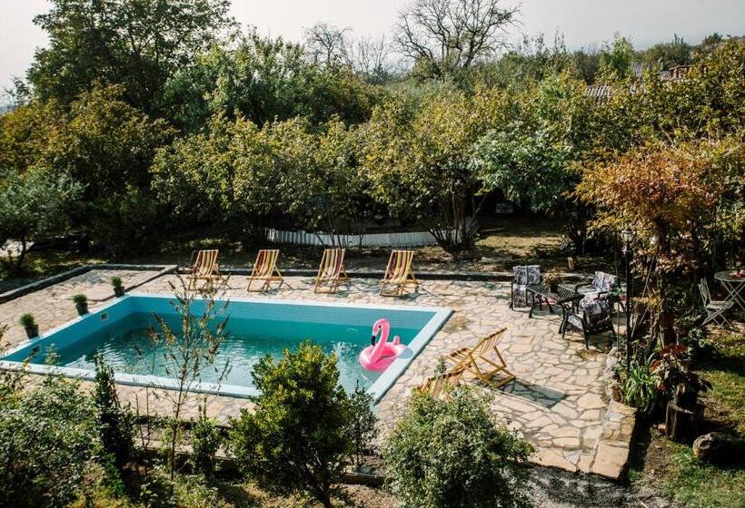 פנסיון Chateau Dzveli Gavazi