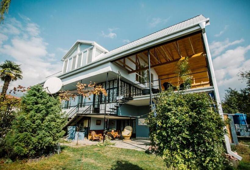 פנסיון Chateau Dzveli Gavazi