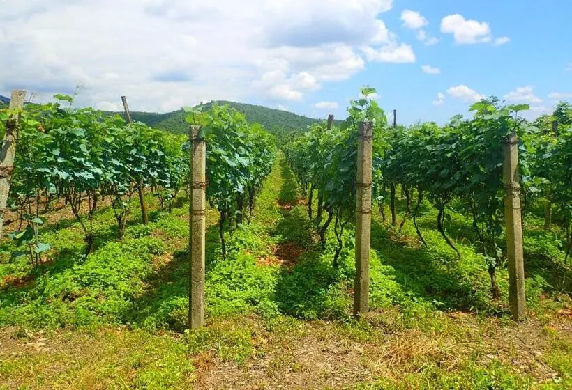 پانسیون Chateau Dzveli Gavazi