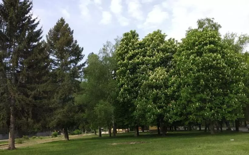 Majatalo стаи за гости върбани