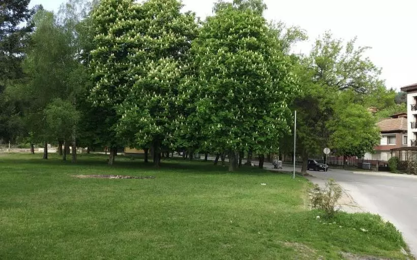 Majatalo стаи за гости върбани