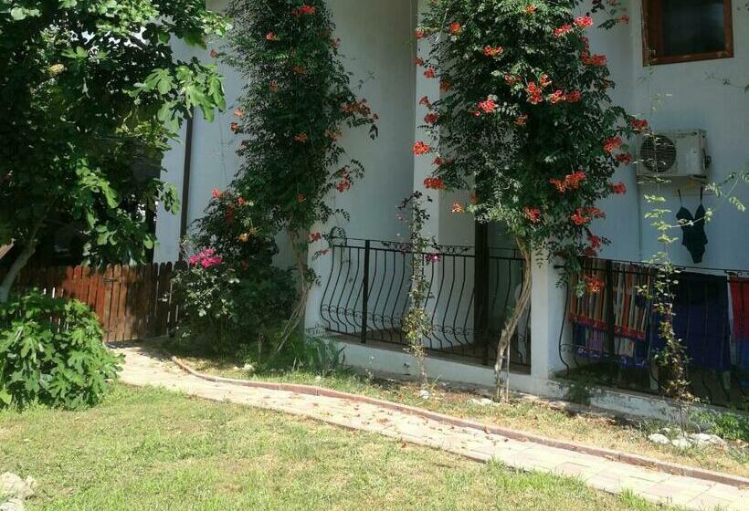 Отель Mioara Rooms