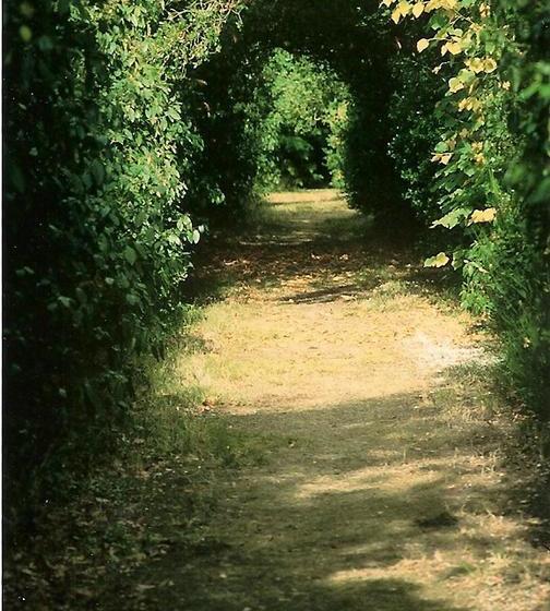 ベッドアンドブレックファースト Palais Briau