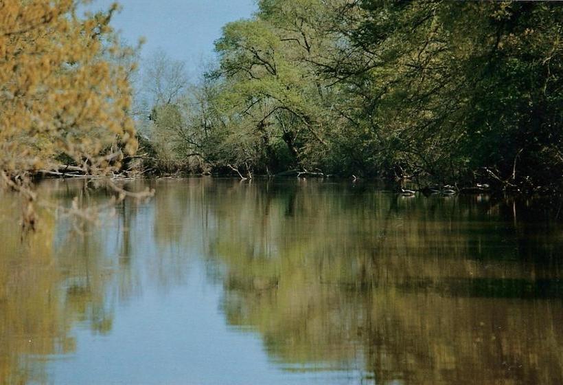 ベッドアンドブレックファースト Palais Briau