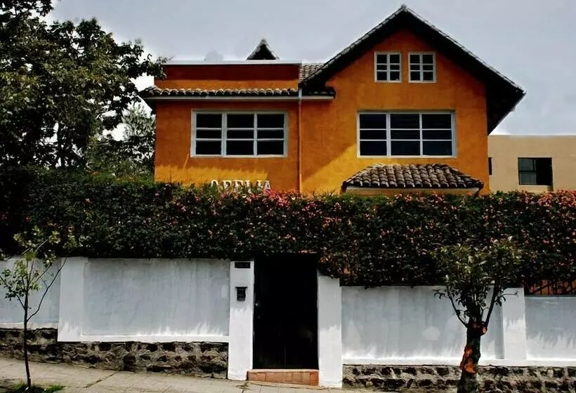 ホテル La Casa Amarilla