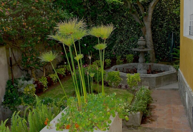 Hotel La Casa Amarilla