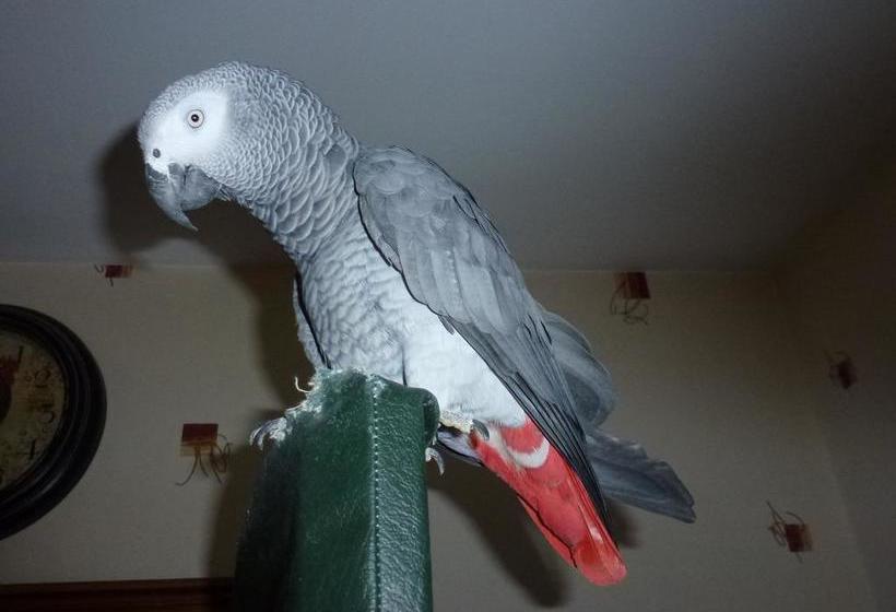 ホテル Ferme Martzloff