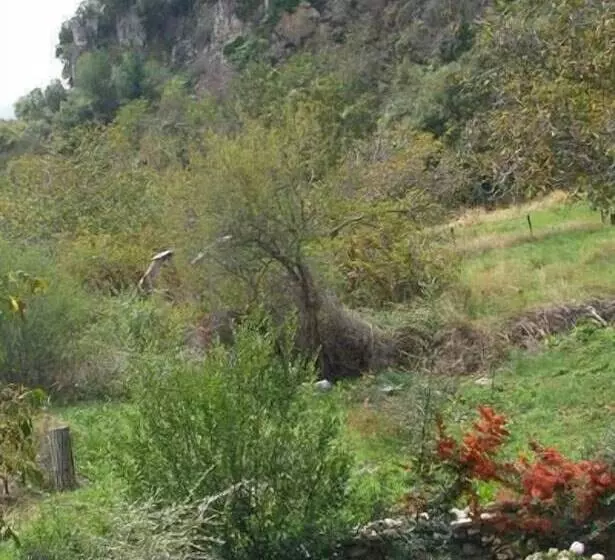 Hotelli Papanikola