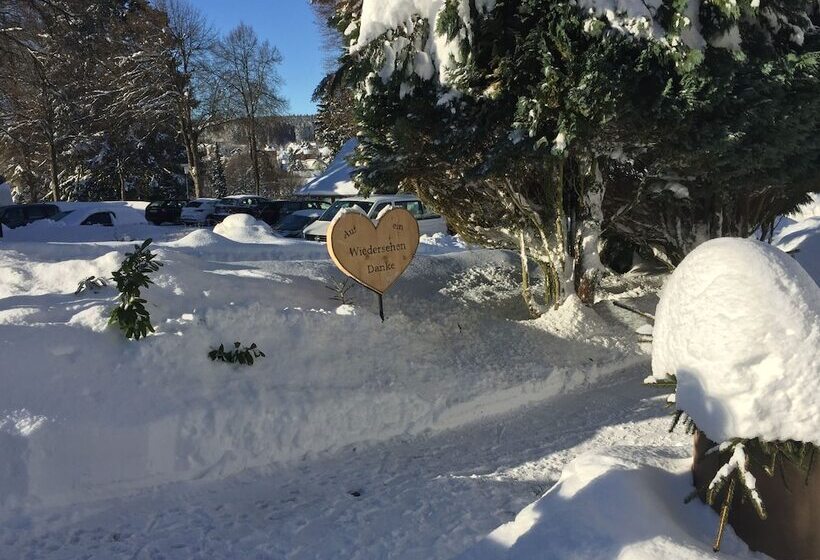 فندق Pension Teutonia