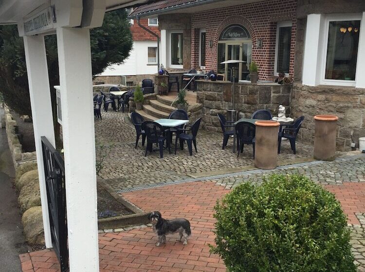 فندق Pension Teutonia