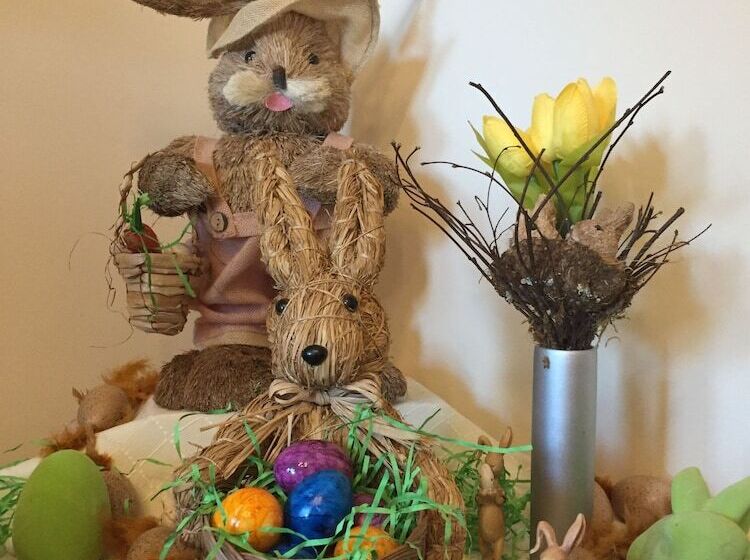 فندق Pension Teutonia