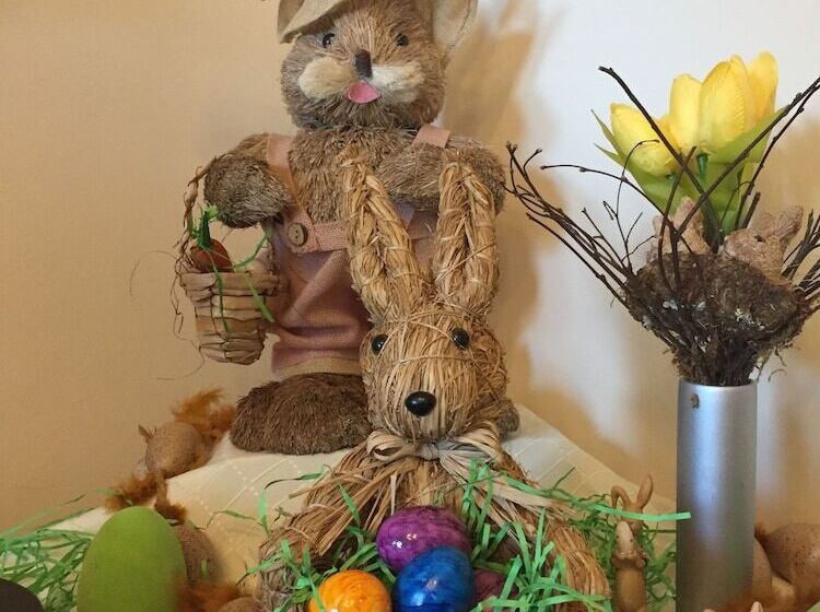 فندق Pension Teutonia