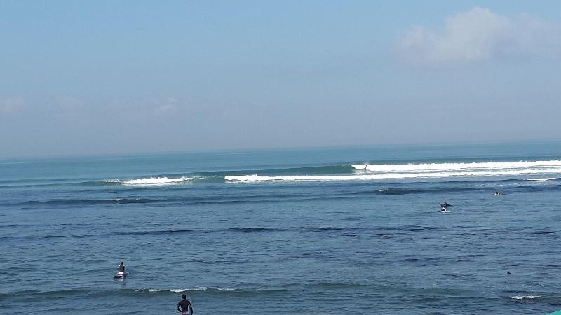 Отель The Calmtree Bungalows