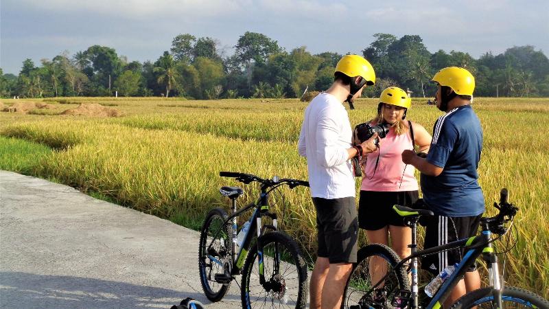 Отель The Calmtree Bungalows