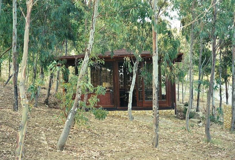 Отель Acqua Di Friso