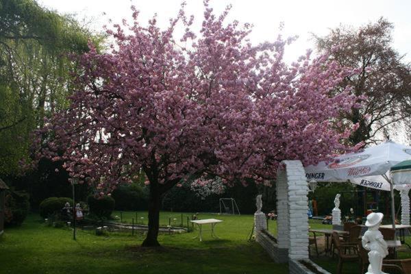 호텔 Dülmener Hof