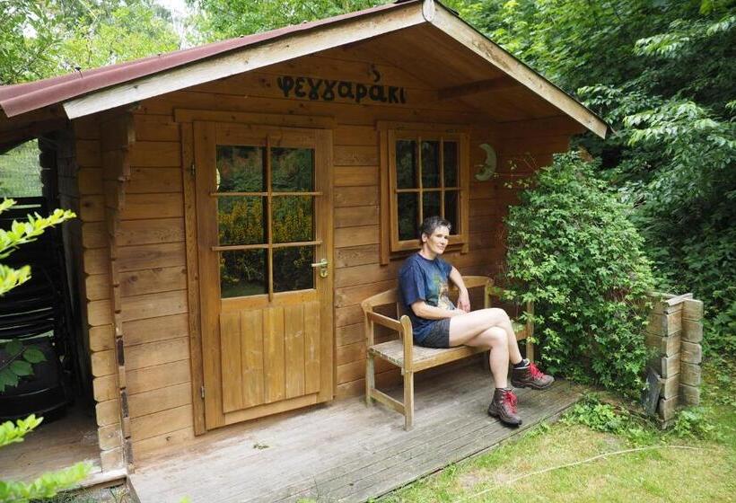 호텔 Frauenpension Arleta   Women Only