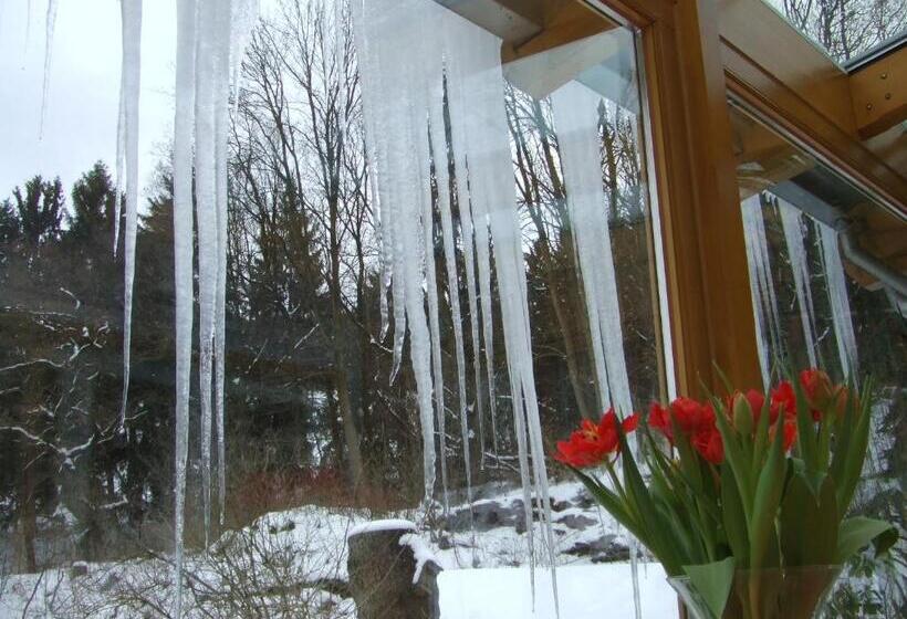 호텔 Frauenpension Arleta   Women Only