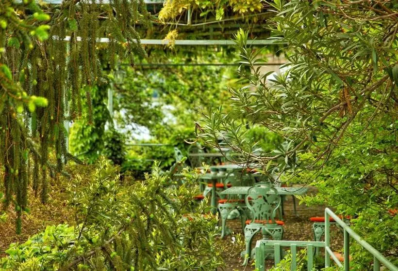 Hotel La Culla Del Lago