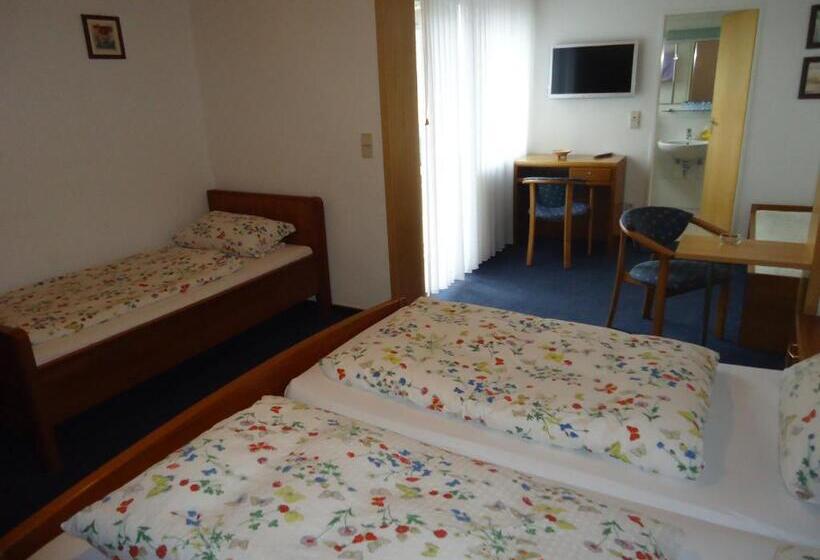 酒店 Leise Garni Willingen